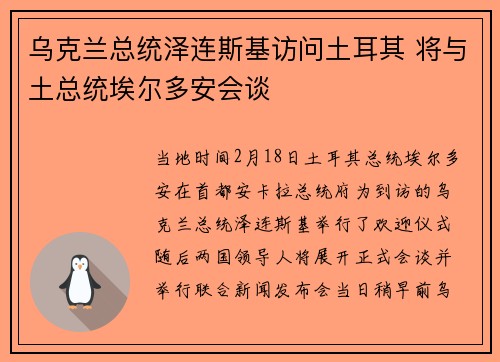 乌克兰总统泽连斯基访问土耳其 将与土总统埃尔多安会谈