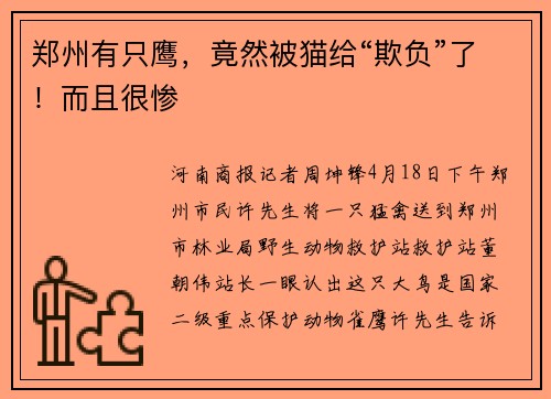 郑州有只鹰，竟然被猫给“欺负”了！而且很惨